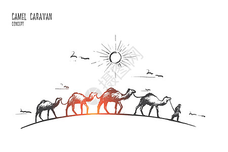 骆驼商队的概念 手绘孤立的矢量旅行插图运输哺乳动物晴天沙丘刻字大篷车动物冒险图片