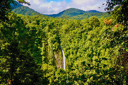 哥斯达黎加瀑布图片