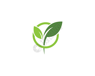 绿叶生态标志 vecto叶子标识生物植物蔬菜插图商业生活生长农场图片