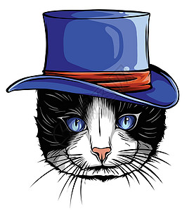 戴着灰色仇恨眼镜和领结图案的矢量滑稽英国猫潮人绘画绅士乐趣草图猫咪蓝色插图眼镜动物宠物图片