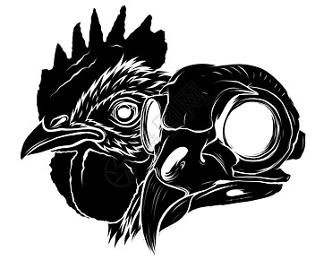 公鸡头和头骨图 ar 的矢量吉祥物颅骨插图羽毛学校牧场夹子运动骨骼农业力量图片