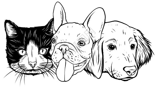 猫和狗的角色 最好的朋友永远矢量图爪子店铺友谊猫咪小狗微笑团体药品漫画哺乳动物图片