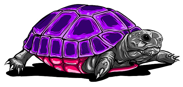 乌龟矢量图标 在白色背景乌龟上孤立的卡通矢量图标插图染色绘画游泳两栖海洋动物土地甲壳海洋馆图片