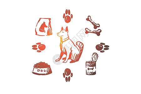 狗宠物动物配件护理概念 手绘孤立的矢量兽医皮带衣领狗窝犬类刷子爪子用品卡通片店铺图片