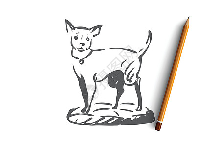 遛狗户外宠物家庭概念 手绘孤立的矢量男人动物耳朵草图犬类朋友哺乳动物插图小狗尾巴图片