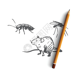 害虫控制蟑螂昆虫概念 手绘孤立的矢量危险漏洞化学品职业服务生物学注意力医疗工作老鼠背景图片