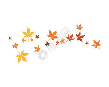 秋叶背景白色黄色橡木树叶森林插图红色金子叶子飞行图片