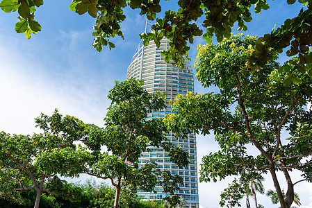 自然界中的城市 有天空背景和树前景的高层建筑 建筑师和自然概念图片
