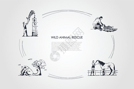 野生动物救援照顾长颈鹿马塞坎加鲁乌龟矢量概念 se 的人袋鼠社会男人生态手绘世界危险草图兽医宠物图片