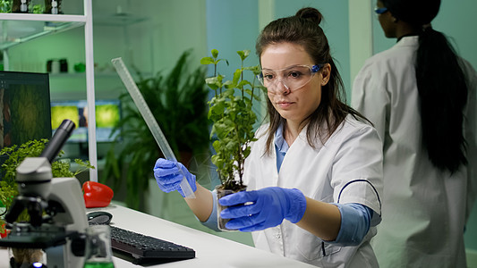 植物学家研究者为植物实验开发的测量仪图片
