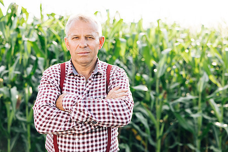 穿着格子衬衫的白人农民肖像在玉米田里看 农田日落景观农业 肖像农民站在玉米地里 农场工人图片