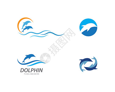 海豚标志图标 vecto荒野蓝色生活游泳圆圈乐趣海浪哺乳动物潜水跳跃图片