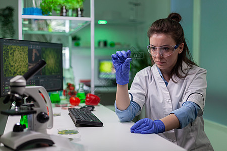 化学科学家研究绿叶样本 检查基因突变情况以及植物团体化学品生物实验室吸管工程实验测试女士图片