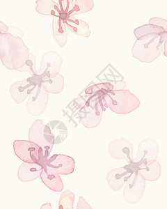 樱花图案 水彩樱桃叶 无缝钢管图片