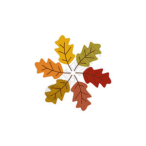 秋叶标志模板森林黄色橡木树叶生态叶子金子植物插图绿色图片