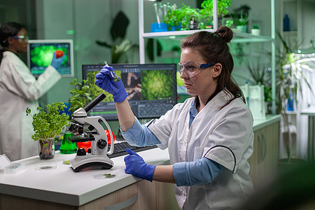 科学家医生 在显微镜下分析植物植物生态实验植物学生物生物学家环境研究员吸管实验室微生物学图片