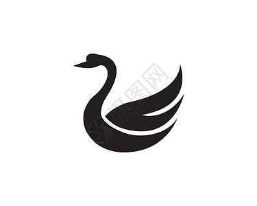 天鹅标志模板身份鸭子艺术蓝色标识国王广告小鸡财产波峰图片