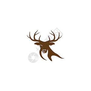 鹿茸标志 vecto卡通片动物园商业羚羊野生动物哺乳动物鹿角插图荒野喇叭图片
