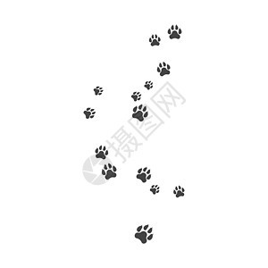 爪子背景模板动物印刷掌印脚印艺术踪迹插图脚趾卡通片小狗图片