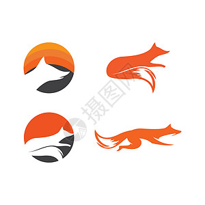 狐狸它制作图案圆圈尾巴土狼野生动物身份创造力商业动物荒野艺术图片