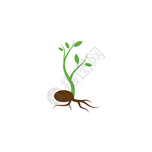 植物生命过程树苗进步种子生物植物学动画片信息生长土壤园艺图片