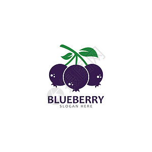 它制作图案蓝莓标志矢量模板图标食物果园水果菜单标识饮食网络艺术收藏叶子图片