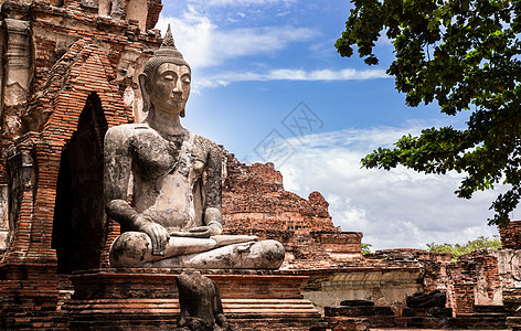 在玛哈泰寺的古代佛像 泰国大城府佛头雕像信仰宗教佛教徒地标寺庙精神树干文化图片