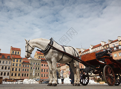 在波兰华沙老城前面的马车 骑着马城市抛光鬃毛游客地标正方形历史舌头建筑学首都背景图片