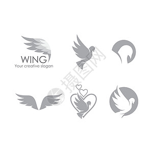 鸽子皇家翅膀白色创造力自由女王宗教标识商业飞行图片