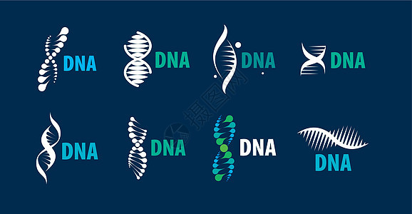 一组 DNA 螺旋形状的矢量标志研究基因实验室药品科学基因组技术克隆染色体插图图片