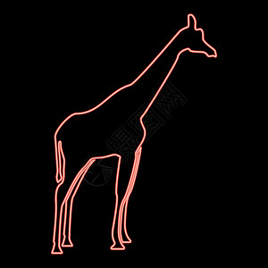 霓虹灯长颈鹿红色矢量插图平面样式 imag背景图片