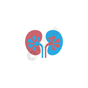 泌尿外科标志图标健康模板医院艺术插图身体肾脏科学家庭泌尿科帮助静脉背景图片