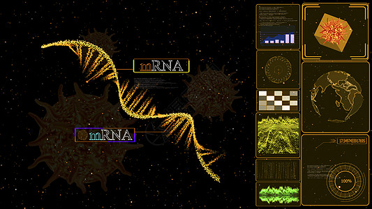 mRNA计算机黄色监测器模型 用于MRNA保护COVID 19突变的计算机黄色监视器研究和分析图片