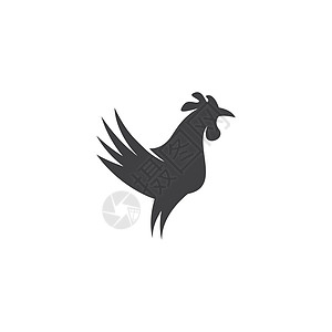 它制作图案的公鸡食物十二生肖卡通片吉祥物红色家禽厨师餐厅农场插图图片