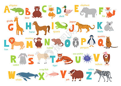 明亮的儿童字母表 带有用于教育的可爱动物和手动字体 矢量海报与字母表中的英文字母在一个平面 styl 的白色背景上图片