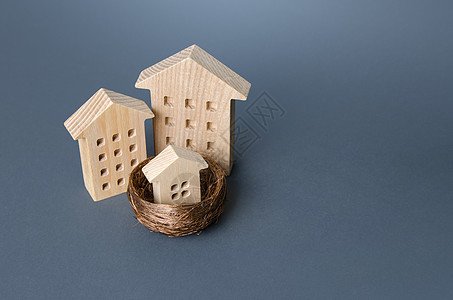 鸟巢里的大房子和小房子 育儿隐喻 投资房地产 建筑业 发展 设计项目 房地产经纪人服务 抵押 负担得起的社会住房图片