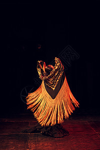 弗拉门科 舞台表演演员女士舞者舞蹈家庆典舞蹈裙子美丽衣服社会图片