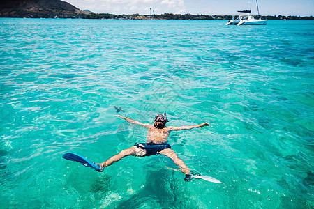 在毛里求斯岛的环礁湖中游泳 一只长着鳍和面罩的家伙图片