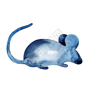 手绘鼠标素材鼠标水彩手绘插图在白色背景上被隔离 Anima毛皮哺乳动物卡通片动物尾巴绘画宠物婴儿风格艺术背景
