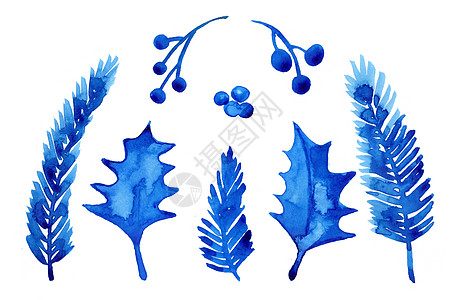 树枝手绘树和浆果的水彩冬季圣诞树枝在白色背景下被隔离 手绘插图 brances 云杉用于打印纹理壁纸或贺卡 蓝色 水彩画背景