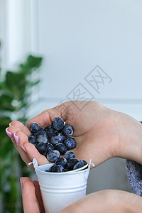 女人拿着装有冷冻蓝莓水果的金属桶 收获的概念 收集浆果的女性手 健康饮食理念 为冬天储备浆果 素食 vegan food女士免疫图片