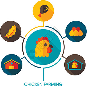 养鸡神像和农业信息资料图谷仓推介会羽毛农民农场母鸡动物图表食物房子图片
