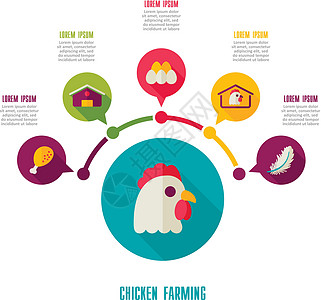 养鸡神像和农业信息资料图谷仓公鸡农民羽毛母鸡房子农场图表食物动物图片