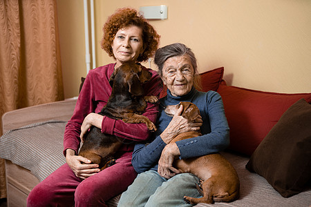 主题是动物疗法 照顾患有痴呆症和阿尔茨海默病的老人 成年女性与年迈的母亲和宠物狗共度时光 为所爱的人带来欢乐和愉悦 感情微笑动物图片
