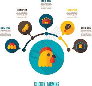 养鸡神像和农业信息资料图农民图表母鸡农场公鸡推介会动物房子谷仓食物图片