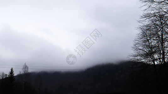 秋天的雨和雾在山丘上 薄雾笼罩着低云的秋天森林 乌克兰 山丘上的云杉林树木穿过晨雾笼罩着秋天的风景天线天空枞树山脉太阳爬坡树木林图片