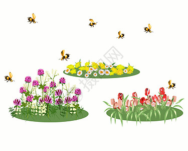 春天的花坛里有鲜花和可爱的蜜蜂图片