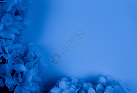 带有文本复制空间的流行经典蓝色鲜花边框温泉叶子边界邀请函纪念日植物卡片植物群火花婚姻图片