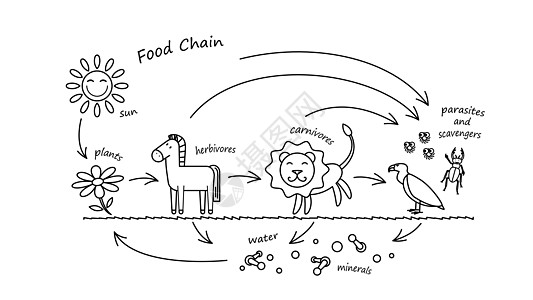 有趣的动物食物链着色嘘图片