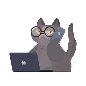 戴着眼镜的滑稽猫坐在笔记本电脑前 拿着一部智能手机 表情严肃的贴纸猫 适用于贴纸衬衫和明信片 孤立 向量小猫尾巴横幅艺术太阳镜婴图片
